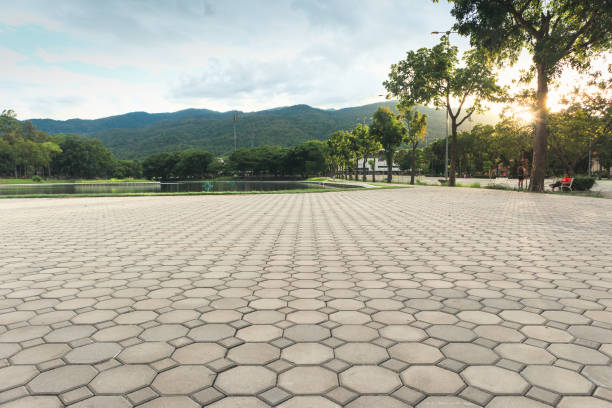 Best Commercial Driveway Pavers  in Rice Lake, MN