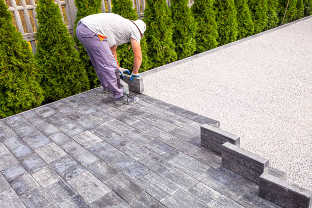 Best Driveway Repair Near Me  in Rice Lake, MN