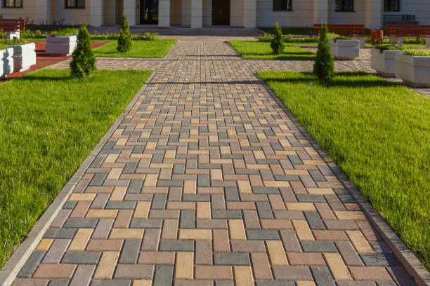 Best Driveway Repair Near Me  in Rice Lake, MN